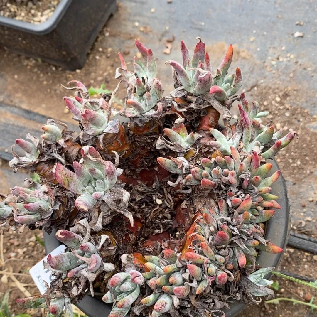 1318缀化缀板个哈哈哈哈哈哈哈哈哈哈哈哈