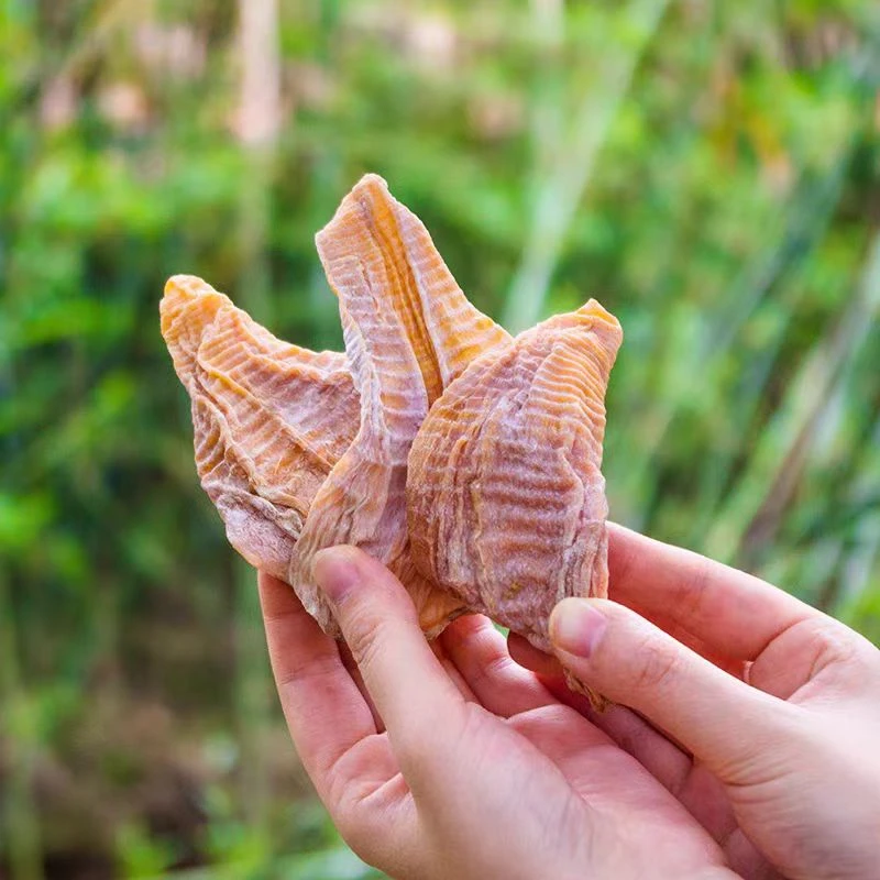 笋干干货嫩笋尖毛竹笋干春笋农家自晒无盐干笋四川宜宾特产250g