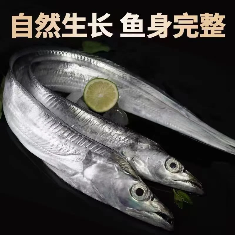 【巨无霸】黄渤海野生深海钓带鱼1-1.4斤/条，到手3条，小黑眼油带鱼
