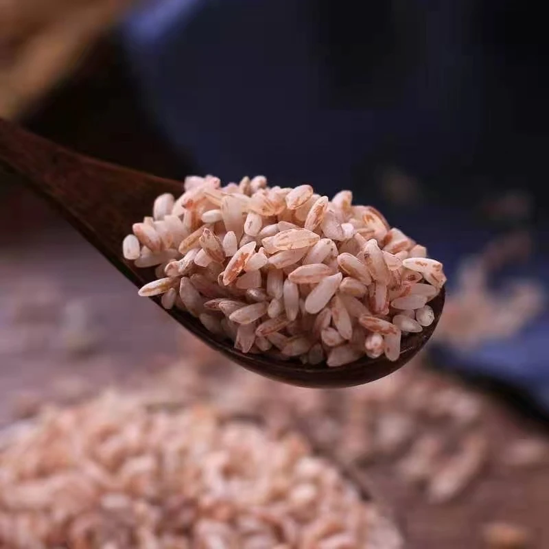 高原红米红软米杂粮云南丽江高原泸沽湖畔特产摩梭红米煮粥