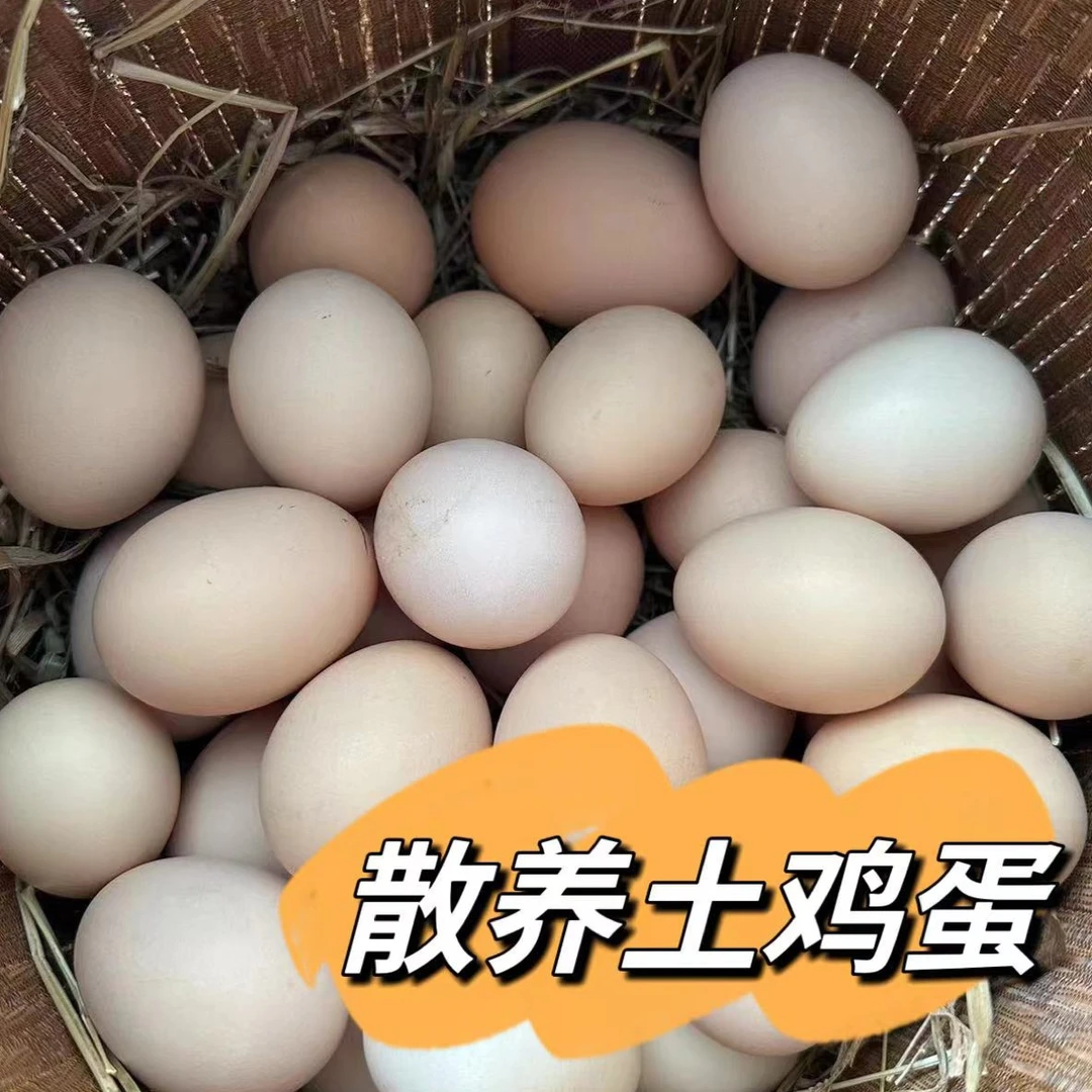 沁园农场，农家散养富硒高品质土鸡蛋， 60/90 枚，农村新鲜土鸡蛋，