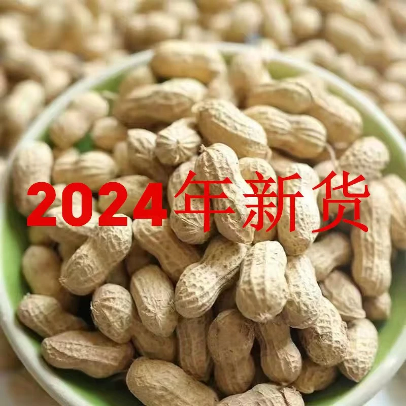 24年河南正阳小白沙带壳晒干生花生果