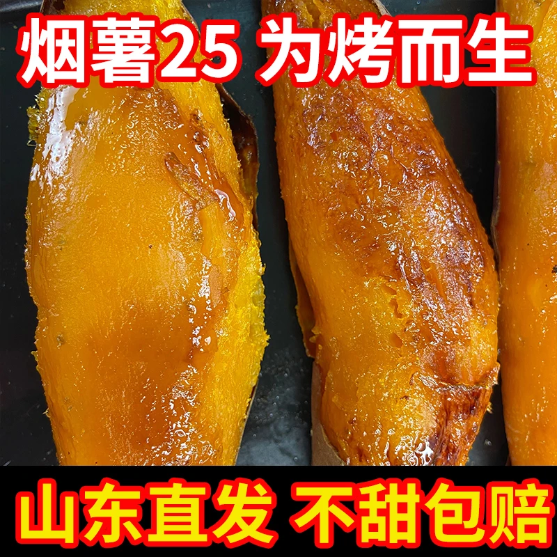 烟薯25山东烟薯25号蜜薯糖心沙地红薯烤地瓜山芋红心流油净重5斤