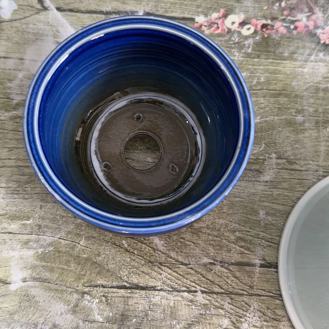 红陶20CM（含）-50CM（不含）呱*豆