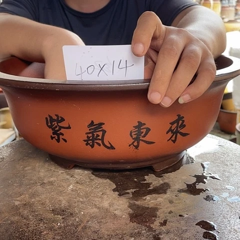 紫砂20CM(含)-50CM(不含)40大红