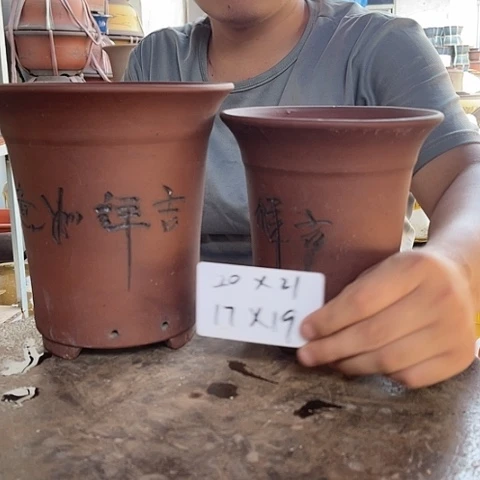 紫砂20CM（含）-50CM（不含）兰花盆2
