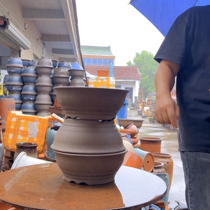 紫砂20CM（含）-50CM（不含）20富贵x3
