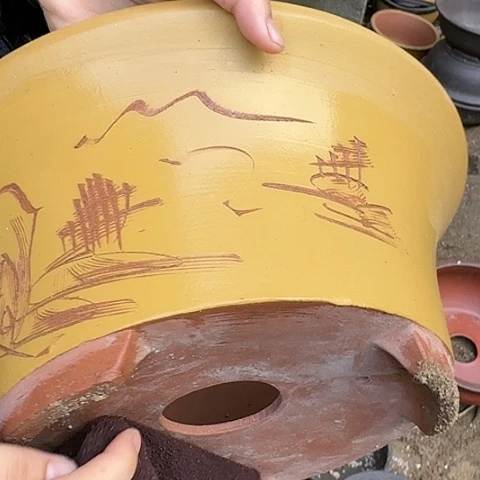 紫砂20CM（含）-50CM（不含）33黄票口