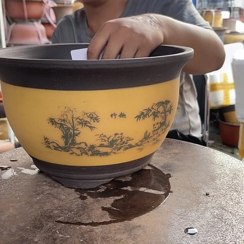 紫砂20CM（含）-50CM（不含）熊猫中
