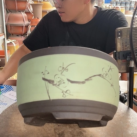 紫砂20CM（含）-50CM（不含）苹果绿箩大