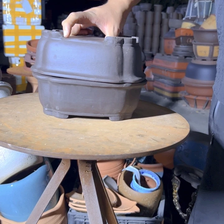 紫砂20CM（含）-50CM（不含）24+24海棠