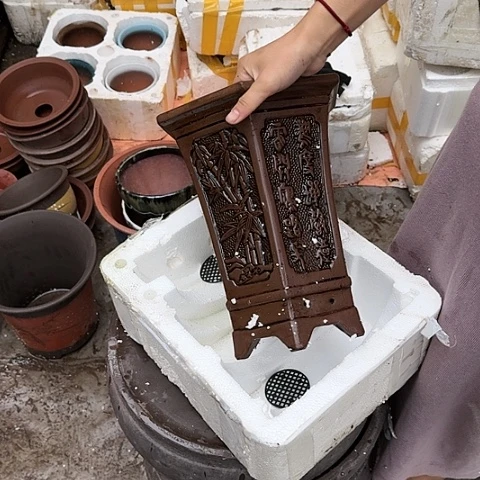 紫砂20CM（含）-50CM（不含）25