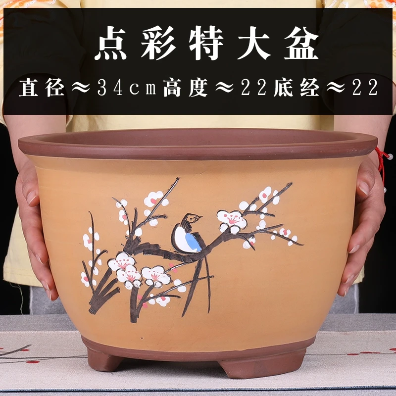 Z88号t005特大号宜兴紫砂花盆大号兰花君子兰多肉绿植花卉盆栽