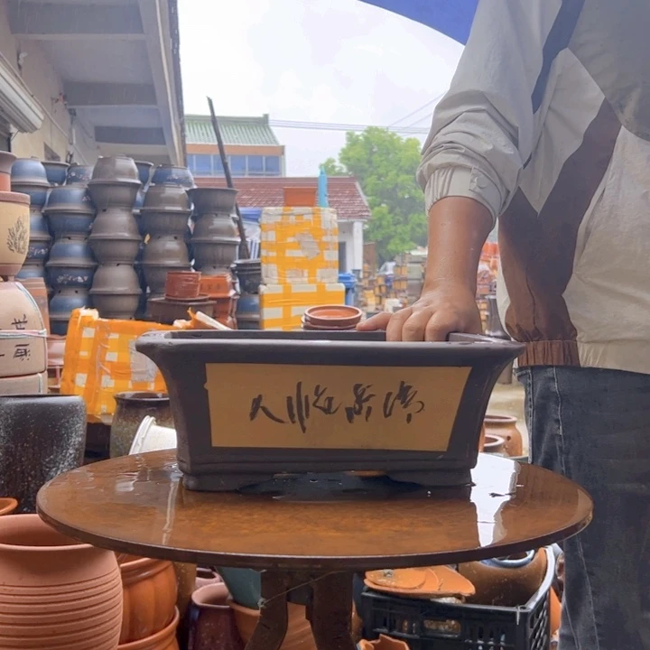 紫砂20CM（含）-50CM（不含）32黄马槽