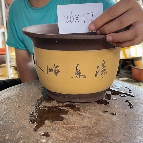 红陶20CM（含）-50CM（不含）26黄平角
