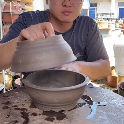 紫砂20CM（含）-50CM（不含）20碗盆3个