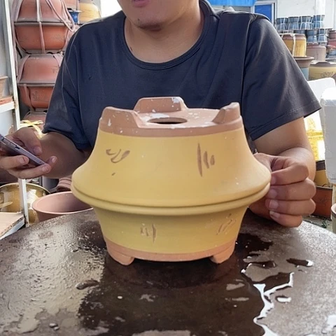 紫砂20CM（含）-50CM（不含）23/23黄票口