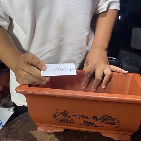 紫砂20CM（含）-50CM（不含）32红马槽