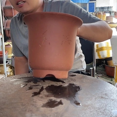 紫砂20CM（含）-50CM（不含）紫梦小