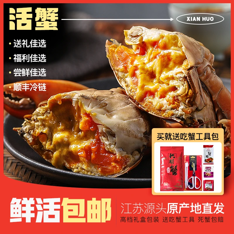 【活蟹现发】一湖一蟹全母2.0两10只甄选苏州精品大闸蟹礼盒装 LL