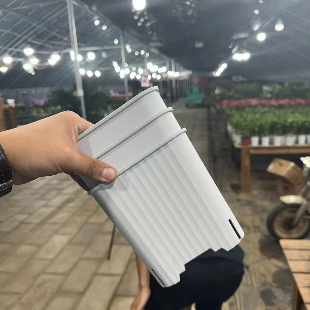 【李先生的花园】花卉链接