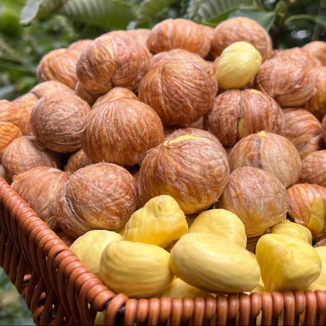 【直播间福利价】2024新鲜板栗去壳带毛衣板栗花壳嫩板栗带刺球板栗