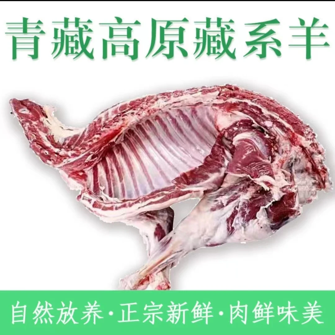 【草原羊】半只羊整只羊  青藏高原原生态藏系羊新鲜一整只羊