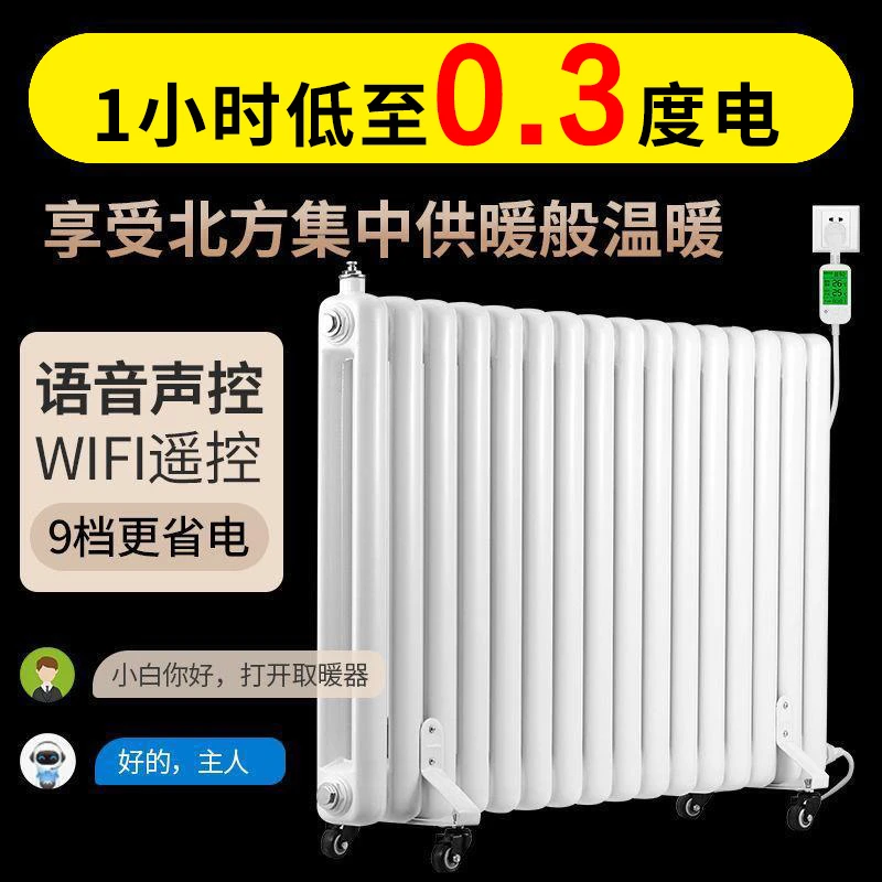 智能恒温注水电暖气片加水暖电暖器家用取暖器节能婴儿加热器冬天