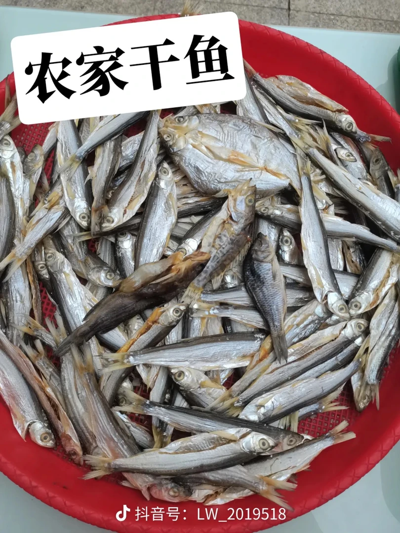 竹峪河坝飘香干鱼