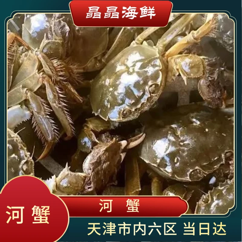 【活蟹】河蟹 公蟹2.9-3.1两 母蟹2.2-2.5两 混搭10只