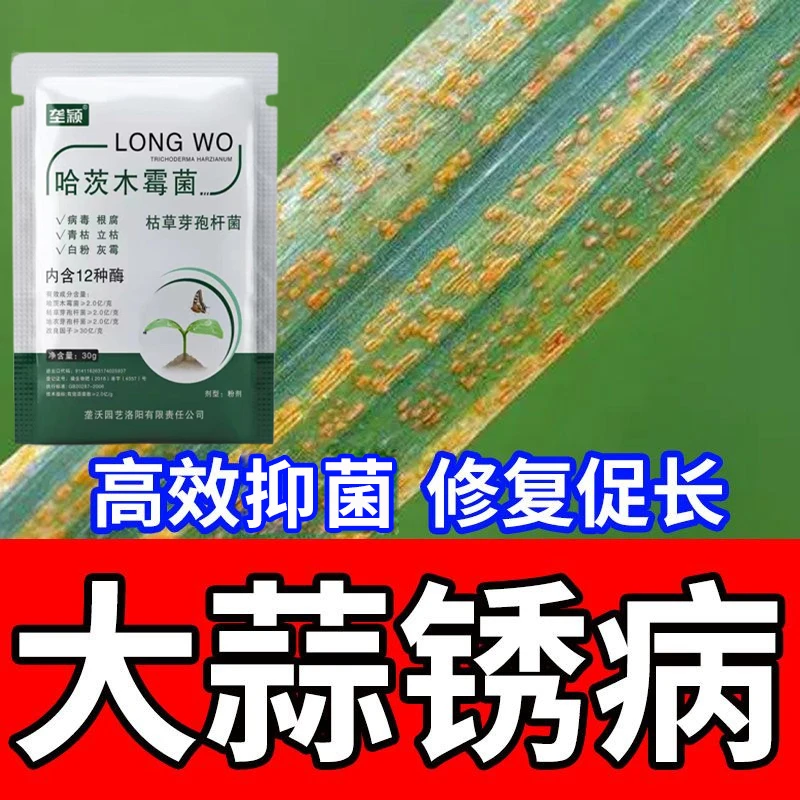 大蒜黄锈病锈斑病专用除菌剂肥料蒜苗紫斑叶枯软腐黄叶干尖水溶肥