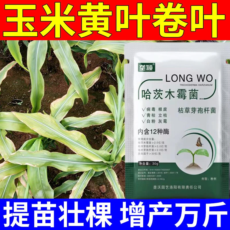 玉米黄叶卷叶专用除菌抑菌剂纹枯病黑穗病霜霉病叶斑病水溶叶面肥