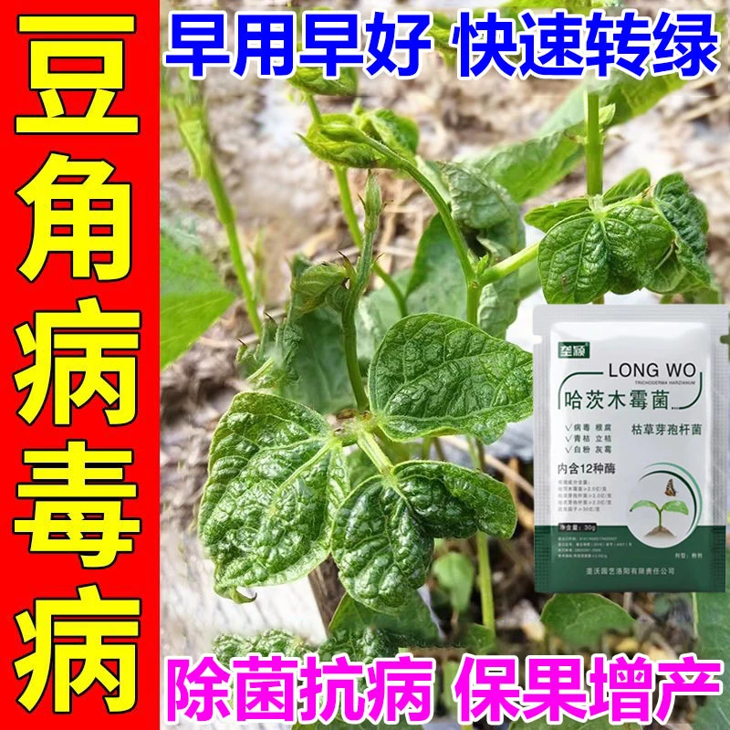 豆角病毒专用豇豆豌豆黄卷叶病炭疽病叶斑锈病青枯除菌喷施叶面肥
