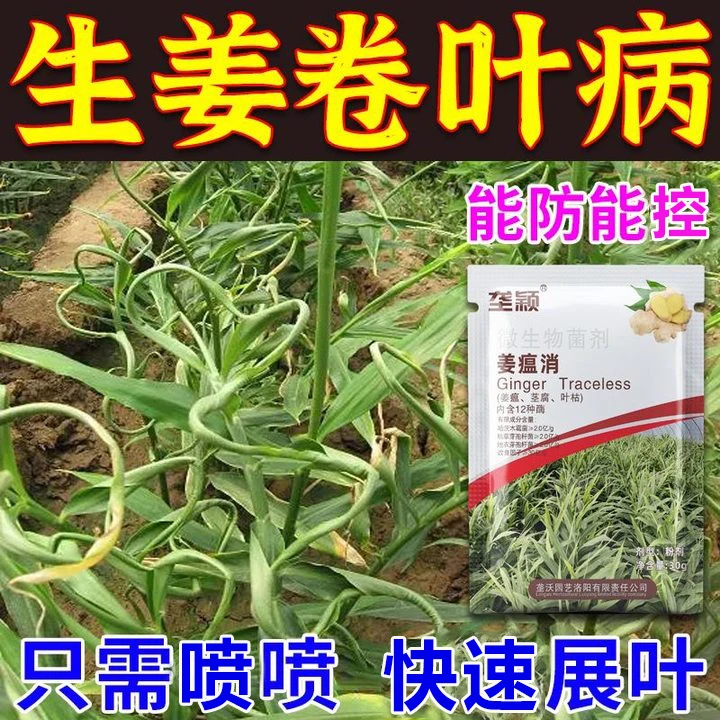 生姜专用肥料卷叶病黄叶病白叶姜瘟病纹枯病根腐病烂脖子烂根死苗