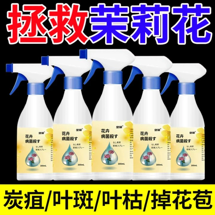 茉莉花病害清专用肥料防白绢病炭疽病叶枯病叶斑病不开花营养液