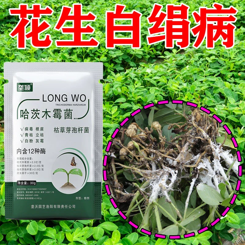 花生白绢病专用花生防死苗烂根急救卷叶掉叶黄叶果腐霜霉水溶肥料
