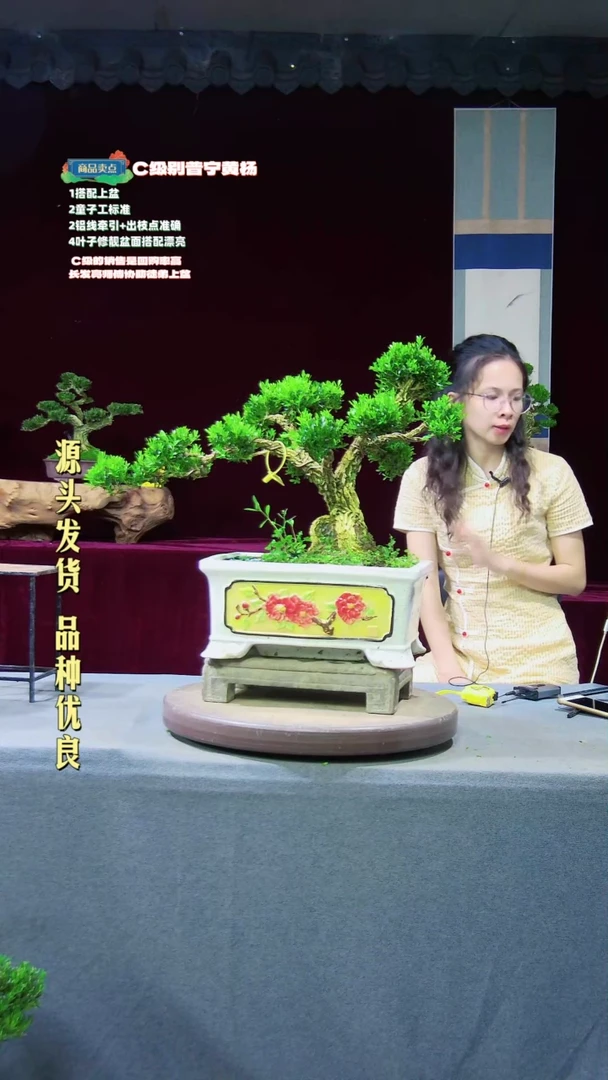 【闪购商品】黄杨盆景黄杨盆景