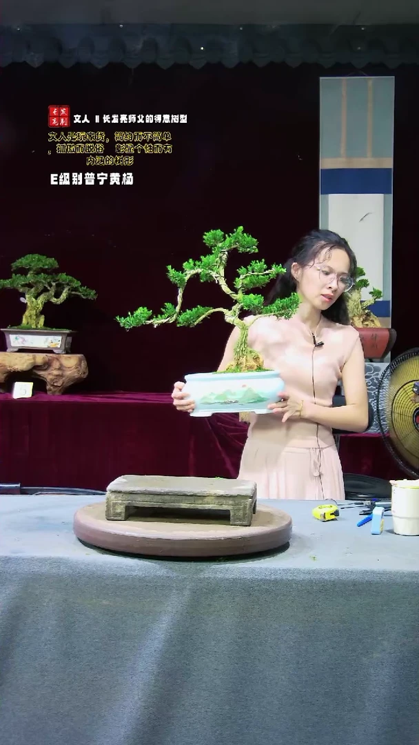 【闪购商品】黄杨盆景黄杨盆景