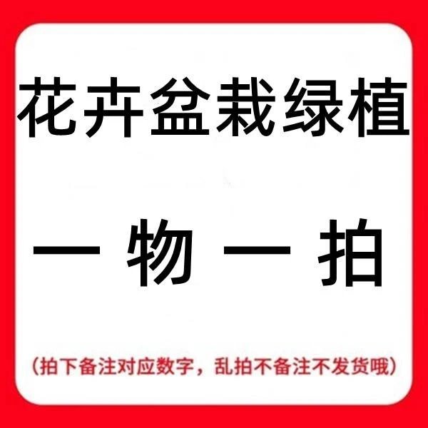 《各品种果树苗》桃树  苹果   梨   直播间一物一拍盆栽地栽南北方