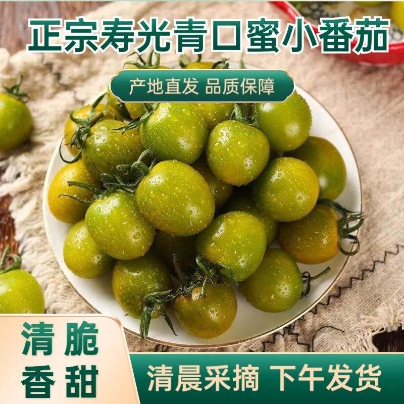 寿光地直发新鲜产地小番茄绿宝石小番茄青番茄青口蜜小番茄圣女果