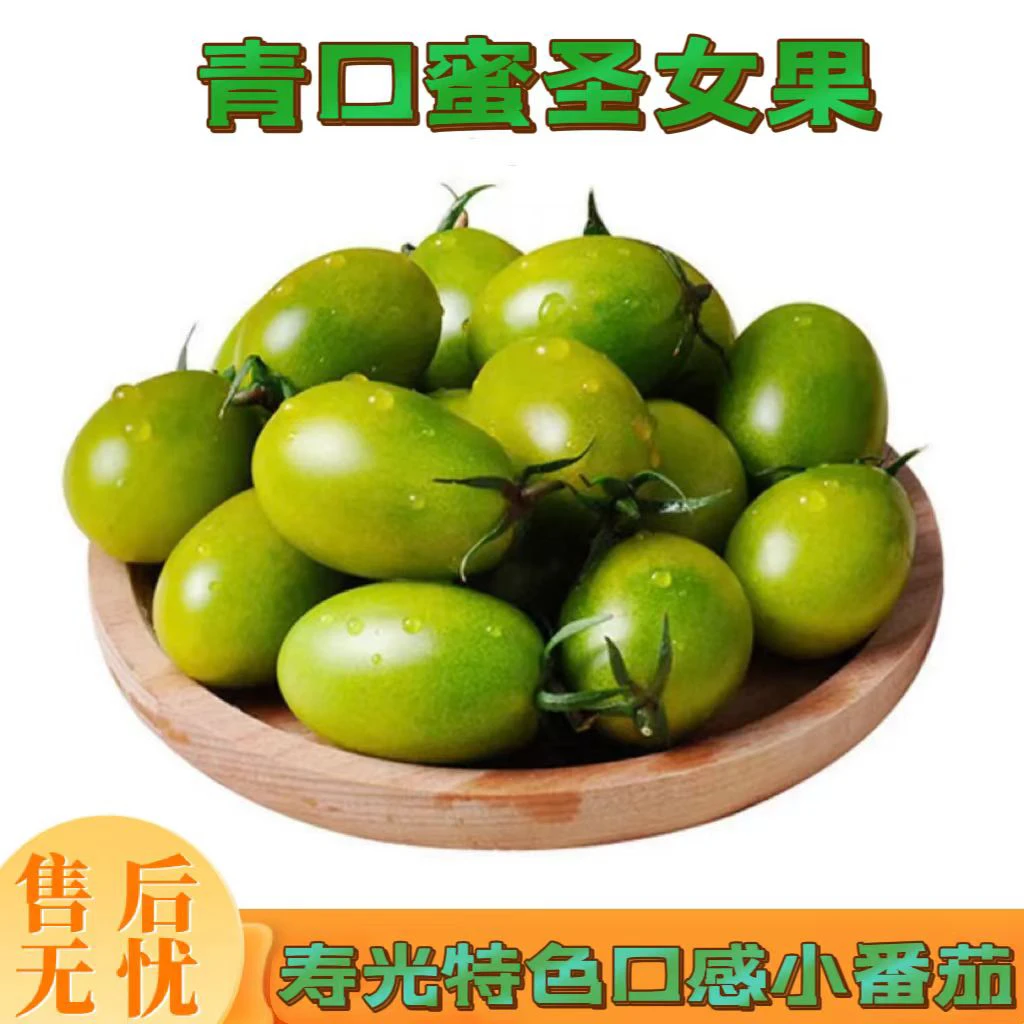 【现摘现发】新鲜酸甜青口蜜小番茄绿色圣女果绿宝石爽口小西红柿