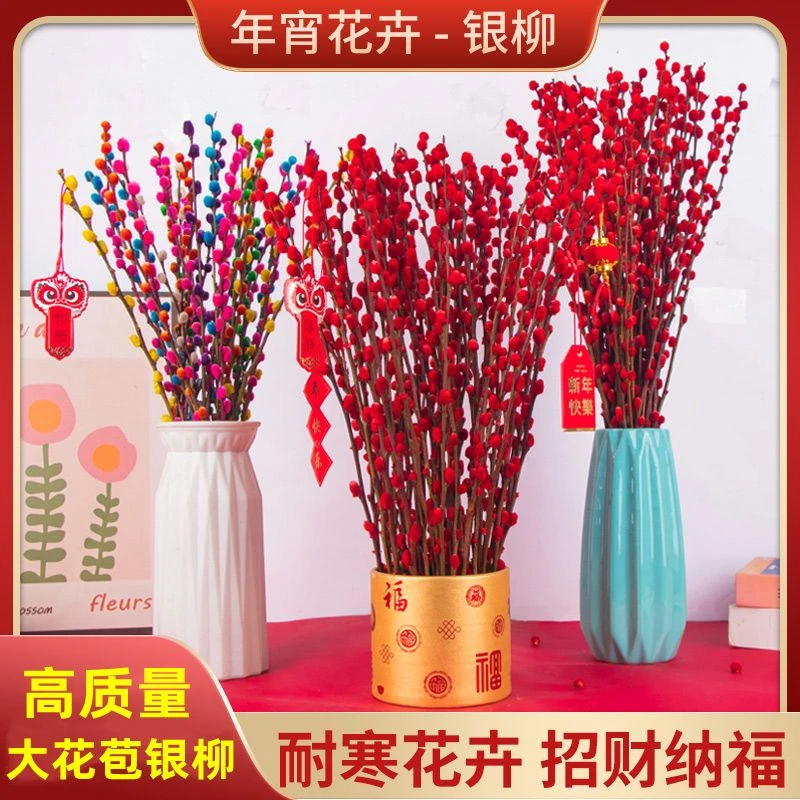 招财银柳真花鲜枝春节年宵花卉水培植物干花红色银柳客厅室内装饰