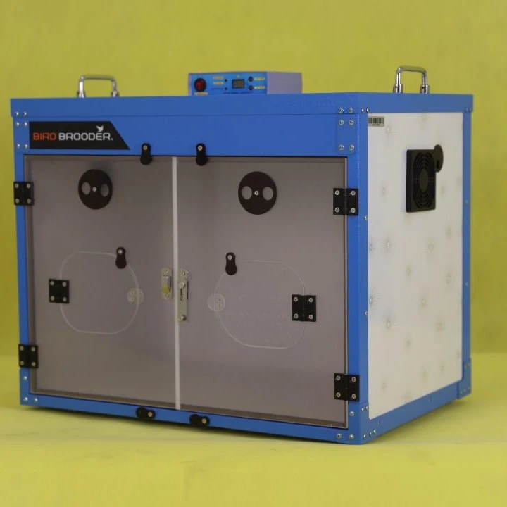 全自动控温(中号)保温箱AODL泰黑鸡温控系统鹦鹉鸽等鸟禽育雏专用