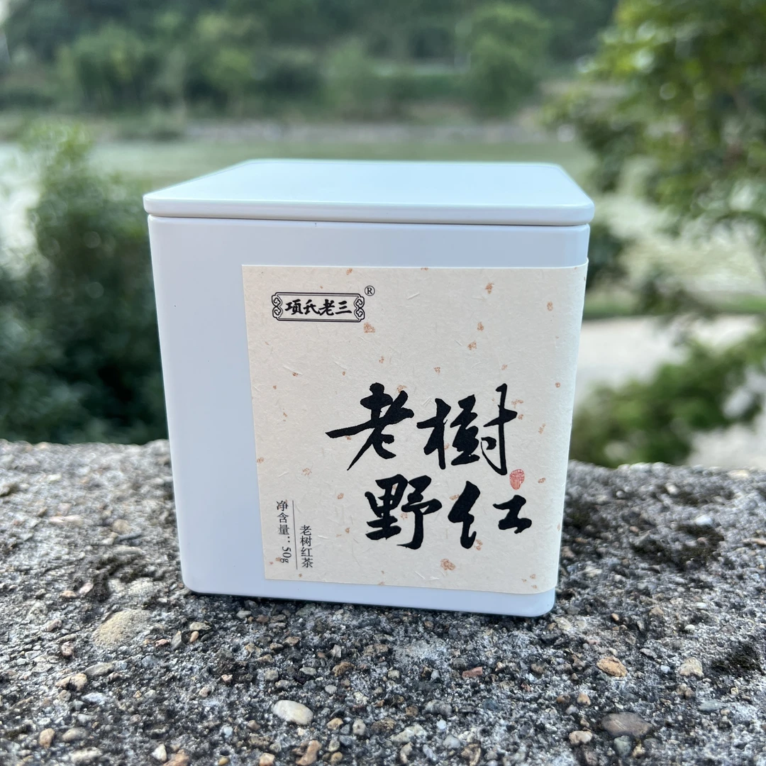 <老树野红>老树红茶青苔味枞味带木质香野韵十足回甘鲜甜50克/罐