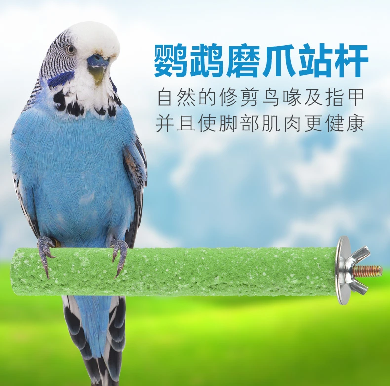 宠尚天宠尚天 鹦鹉站玩具秋千磨爪磨牙石英磨砂站鸟固定中小型