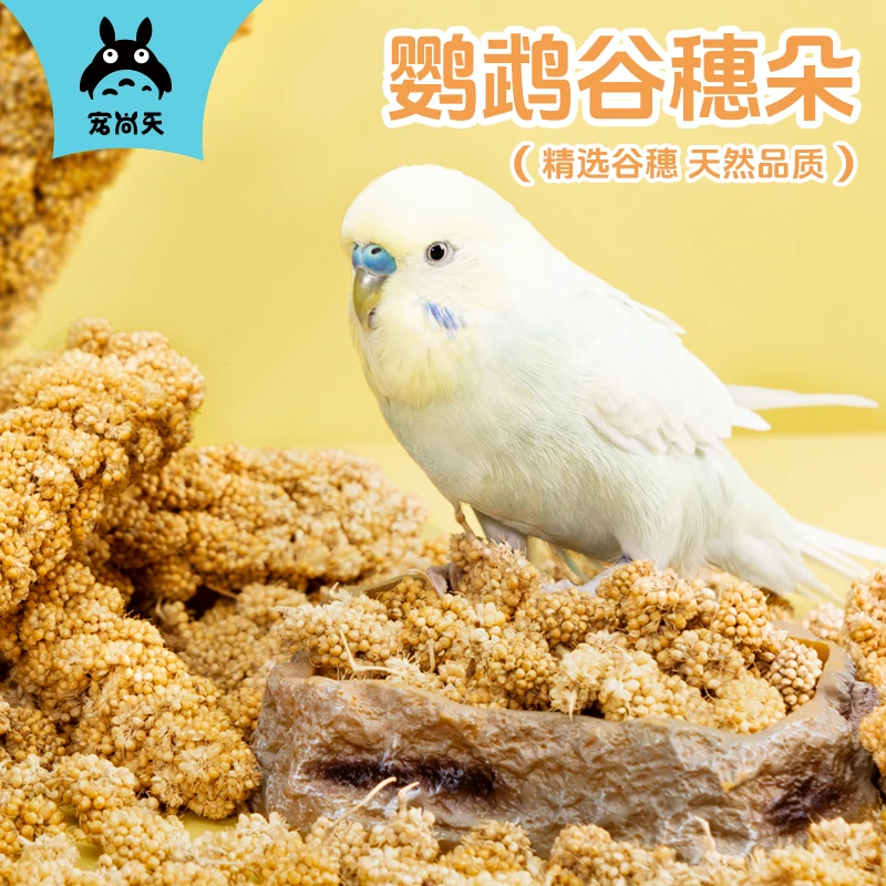 鹦鹉新鲜天然谷穗带壳鹦鹉食粮小米玄凤虎皮饲料训练喂食鸟食鸟粮