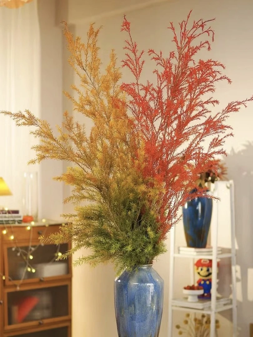 三色千层金黄金香柳香松鲜切花造景好养云南昆明水培植物真鲜花