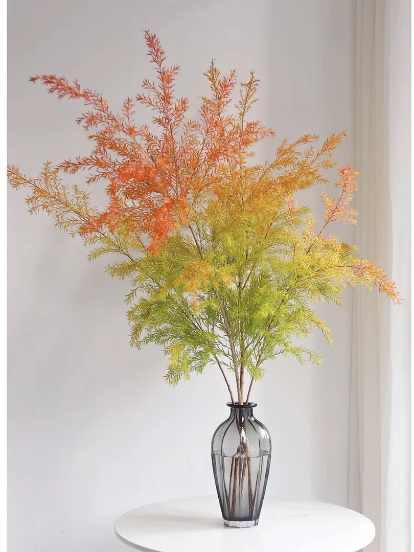 三色千层金黄金香柳香松鲜切花造景好养云南昆明水培植物真鲜花