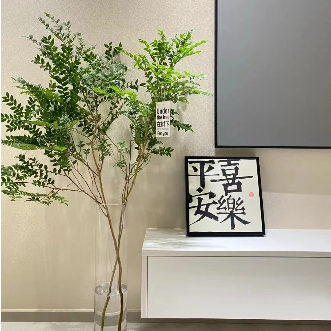 顺丰【拍一发二】美男树水培绿植鲜切枝室内高级花卉马醉木吊钟平替