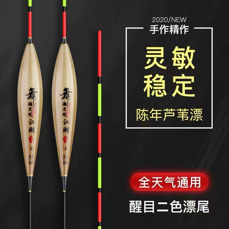 黑坑江湖芦苇鲫鱼漂